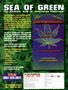 Page: - 81 | High Times