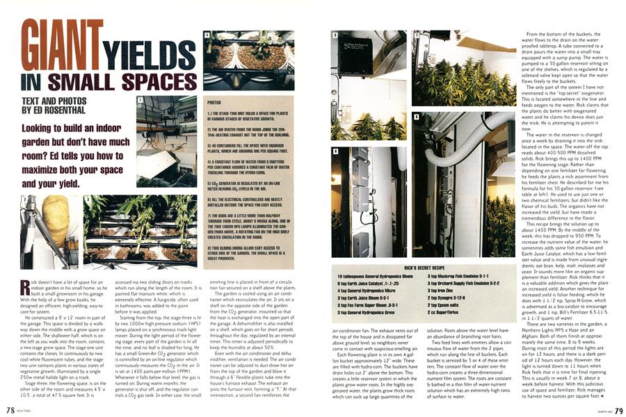 GIANT YIELDS IN SMALL SPACES