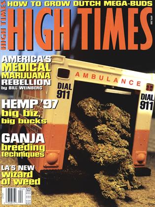 APR 1997 | High Times