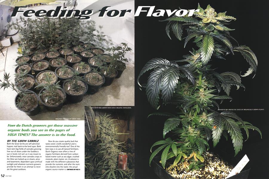 Feeding for Flavor