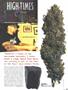 Page: - 49 | High Times