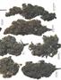 Page: - 55 | High Times