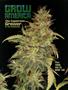 Page: - 83 | High Times