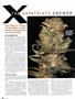 Page: - 86 | High Times