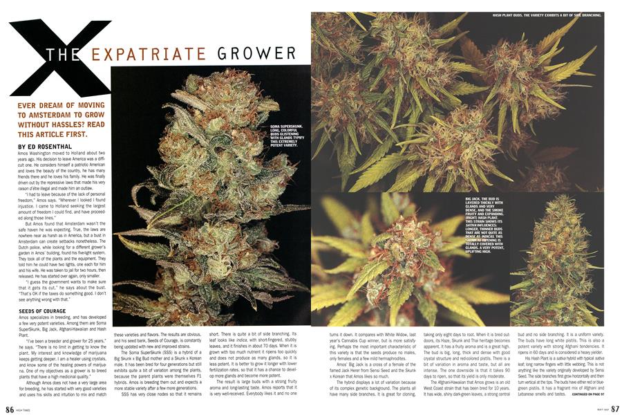 THE EXPATRIATE GROWER