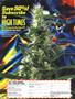 Page: - 47 | High Times