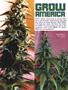 Page: - 80 | High Times