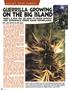 Page: - 82 | High Times
