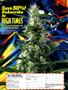 Page: - 43 | High Times