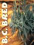 Page: - 54 | High Times