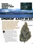 Page: - 57 | High Times