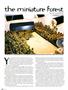 Page: - 82 | High Times