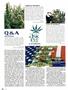 Page: - 86 | High Times