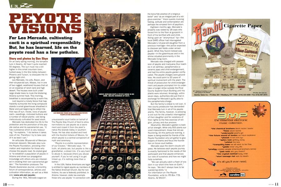 PEYOTE VISIONS
