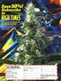 Page: - 43 | High Times