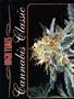 Page: - 54B | High Times