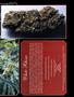 Page: - 54D | High Times