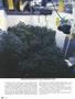Page: - 64 | High Times