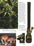 Page: - 81 | High Times