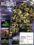 Page: - 31 | High Times