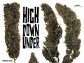 Page: - 54 | High Times