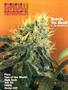 Page: - 79 | High Times