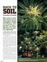 Page: - 84 | High Times