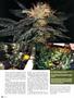 Page: - 86 | High Times