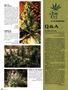 Page: - 88 | High Times