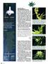 Page: - 92 | High Times