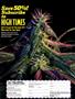 Page: - 43 | High Times