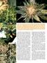 Page: - 62 | High Times