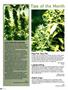 Page: - 82 | High Times
