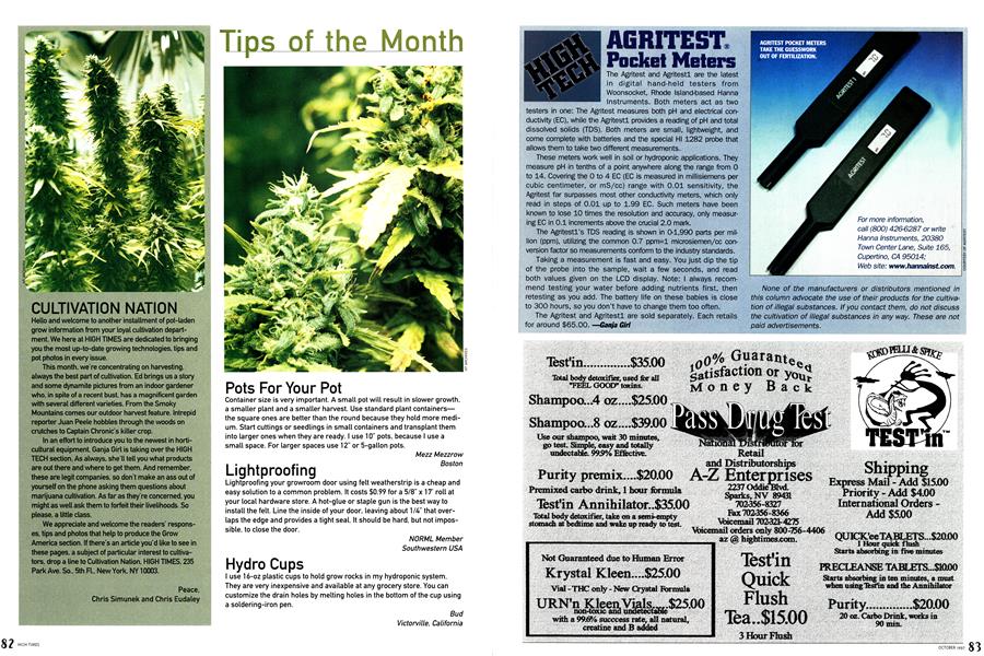 Tips of the Month