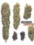 Page: - 58 | High Times
