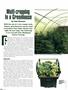 Page: - 64 | High Times