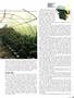 Page: - 65 | High Times