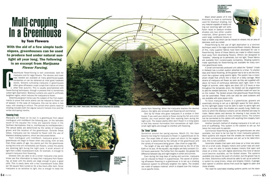 Multi-cropping In a Greenhouse