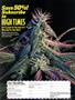 Page: - 43 | High Times