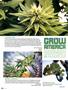 Page: - 80 | High Times