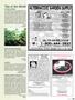 Page: - 85 | High Times