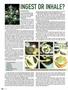 Page: - 86 | High Times