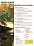 Page: - 4 | High Times