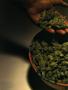 Page: - 54 | High Times