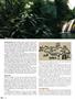Page: - 56 | High Times