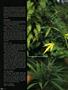 Page: - 58 | High Times