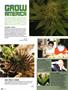 Page: - 80 | High Times