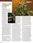 Page: - 82 | High Times
