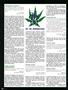 Page: - 92 | High Times