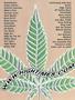 Page: - 20 | High Times